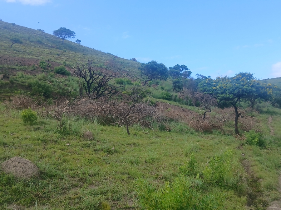 0 Bedroom Property for Sale in Morgans Bay Eastern Cape